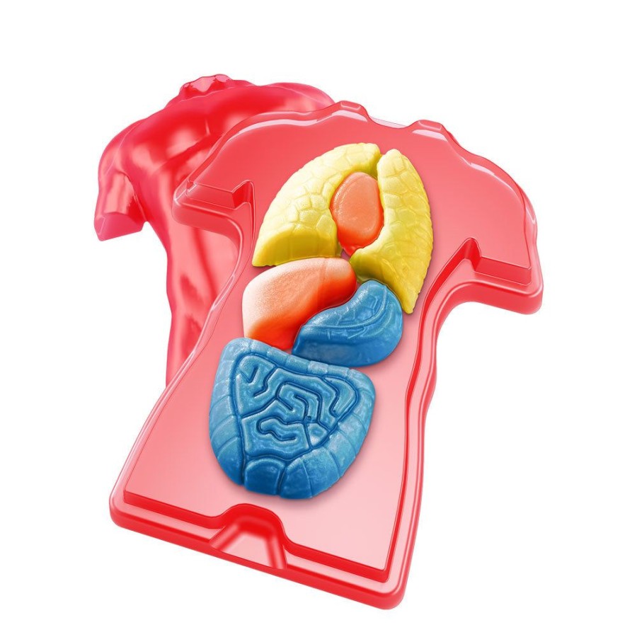 Science Toys & Kits Thames & Kosmos | Gross Anatomy: Make-Your-Own Squishy Human Body