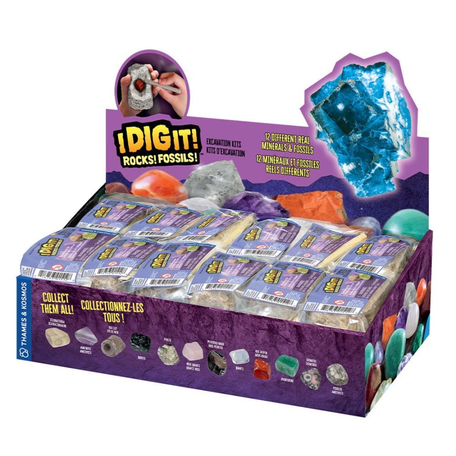 New Arrivals Thames & Kosmos | I Dig It! Rocks & Fossils - 24 Mini Excavation Gift Set - 2L