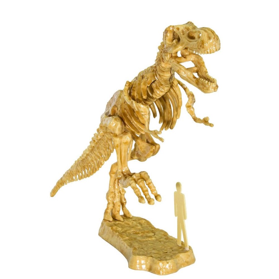 Science Toys & Kits Thames & Kosmos | I Dig It! Dinos - 3D T. Rex Excavation Kit