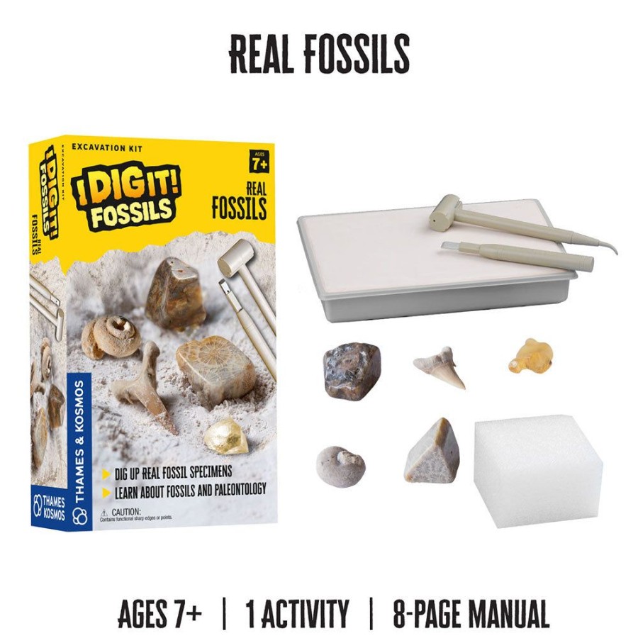 Science Toys & Kits Thames & Kosmos | Thames & Kosmos I Dig It! Excavation Kits | Bundle 2 Items: Glow-In-The-Dark T. Rex And Real Fossils Excavation Kit | Learn About Paleontology, Archaeology, Mineralogy