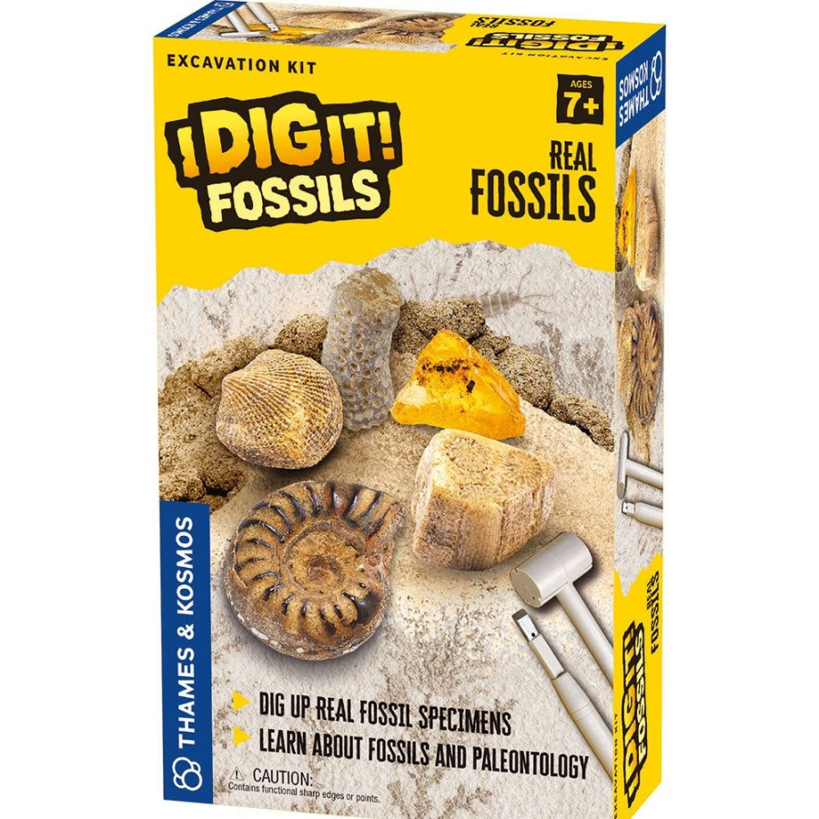 Science Toys & Kits Thames & Kosmos | I Dig It! Fossils - Real Fossils Excavation Kit