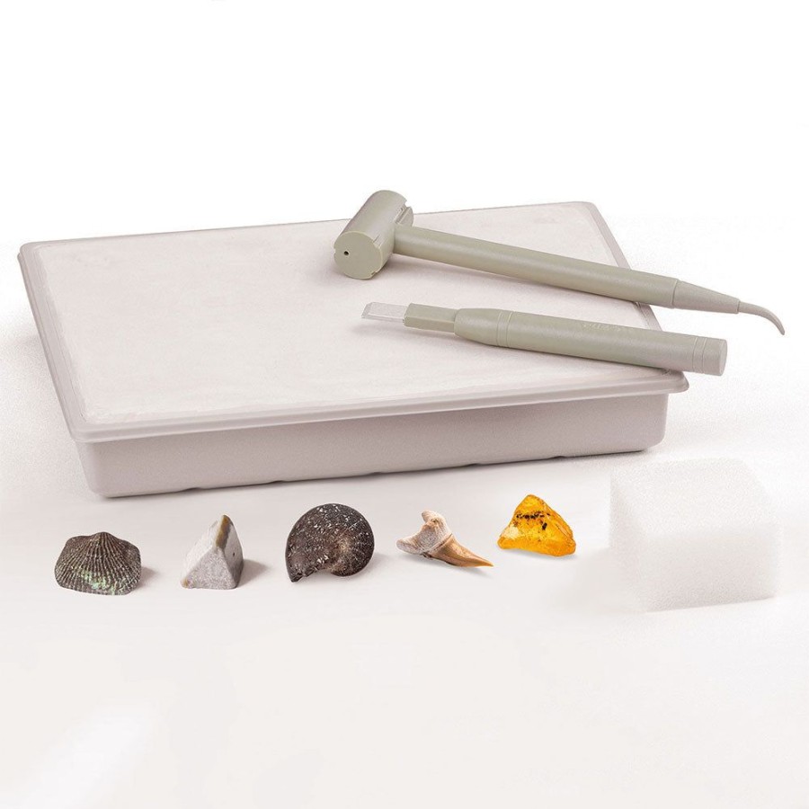 Science Toys & Kits Thames & Kosmos | I Dig It! Fossils - Real Fossils Excavation Kit