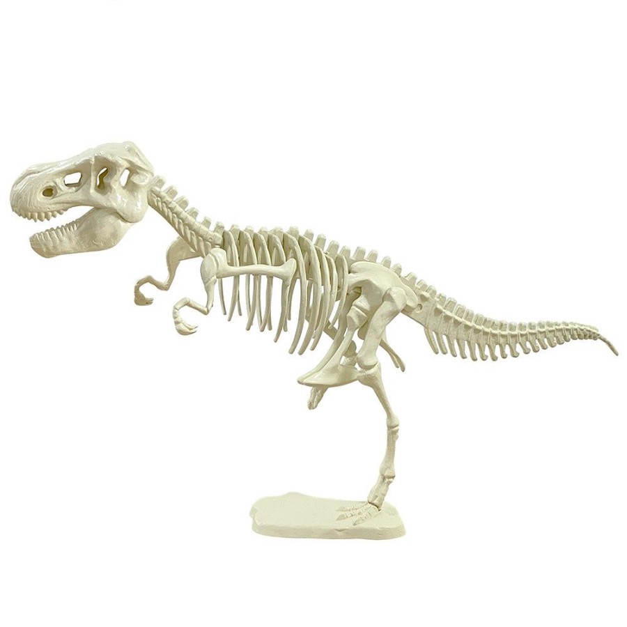 Science Toys & Kits Thames & Kosmos | Giant Dinosaur Skeleton Kit