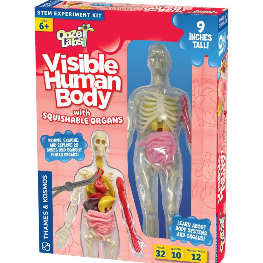 Science Toys & Kits Thames & Kosmos | Ooze Labs: Visible Human Body With Squishable Organs