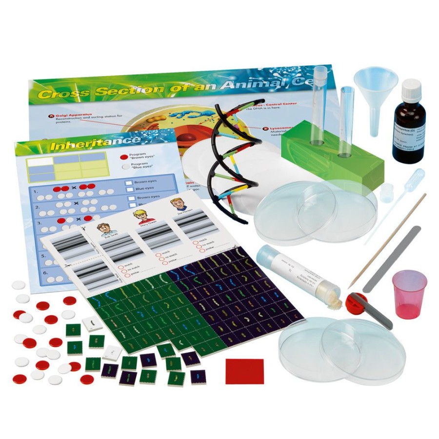 Science Toys & Kits Thames & Kosmos | Genetics & Dna Lab